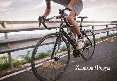 7aeb7e53c0673f418da1749.webp