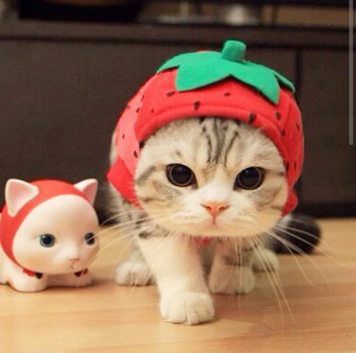 7ahbda.webp