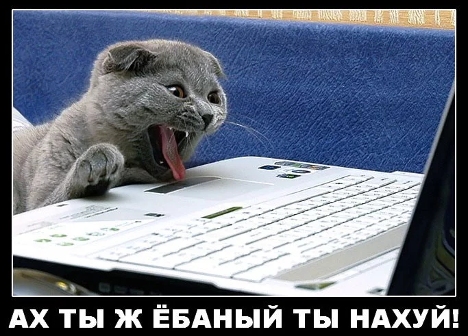 7ahhcg.webp