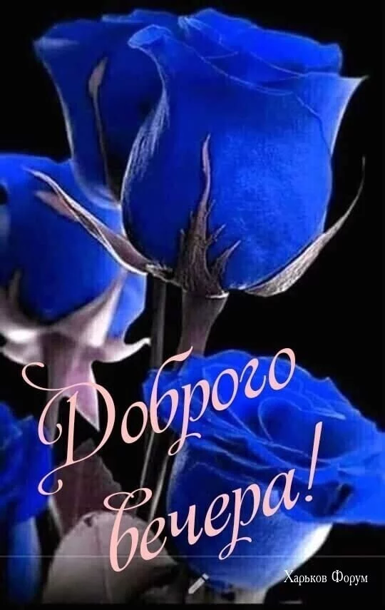 7b0f373f3a7f685d.webp