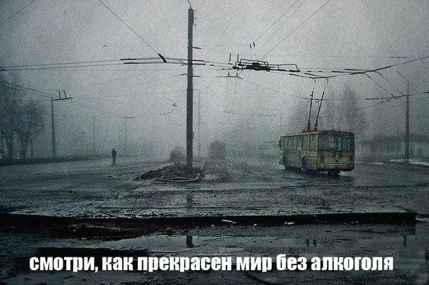 7b1367204dd24c9d90f71b469a2bf45e.webp