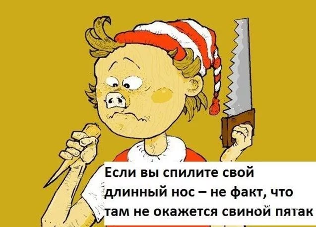 7b476df12a3317d0.webp