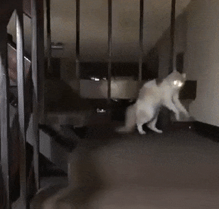 7b6740060542214d20c8.gif