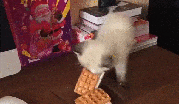 7b7e02874b2c574ab8927bf8baead4f6887e980a.gif