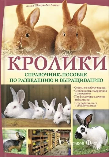 7b7f7b0775f7b481773e92d.webp