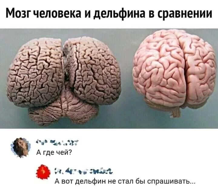 7b81afbc09586315.webp