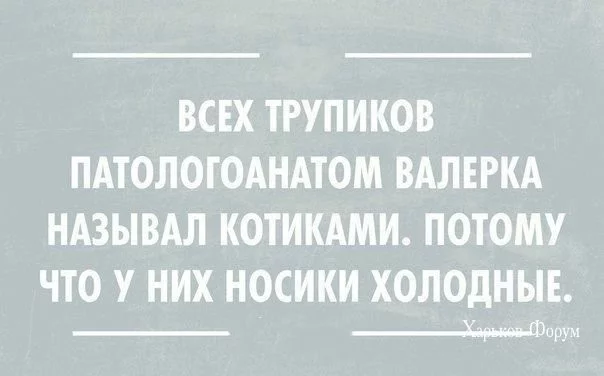 7b862e11c22a4a798e4.webp