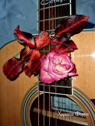 7b9193ed5b193436df81.webp