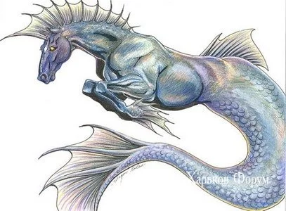 7b9cbb786bdf96763b65.webp