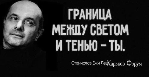 7ba37576731b80906bdfe.webp