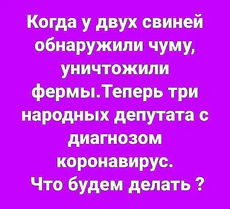 7bb1bee83397b6ed9e705a8f7bec177e.webp