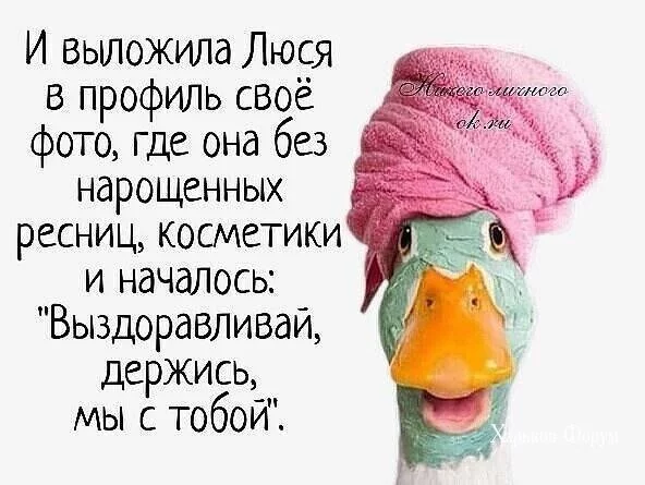7bb7292ef56985cc.webp