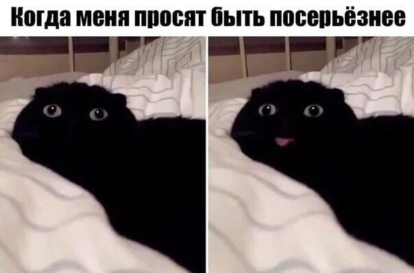 7bbjfg.webp