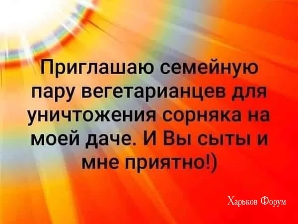 7bd6de14bcb5e5c7c0.webp