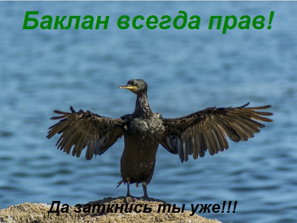 7bfedg.jpg