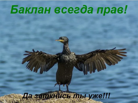 7bfedg.webp