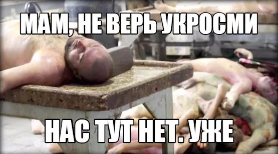 7bjcgg.webp