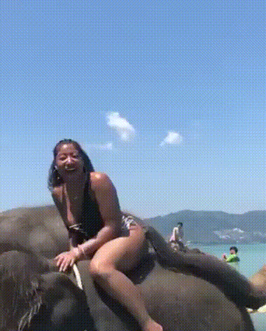 7c1639a6a36fab4b8.gif