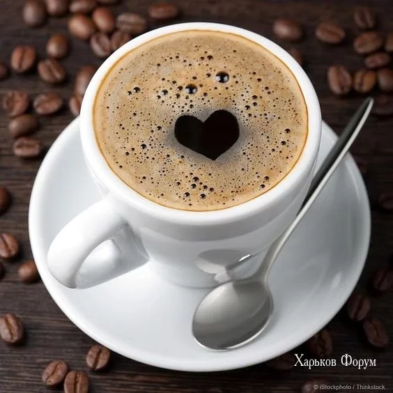 7c19342e76b8da279c4.webp