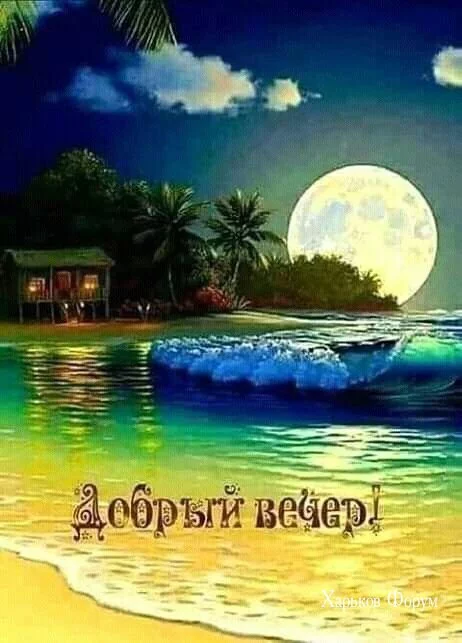 7c264227e9ff1f730.webp