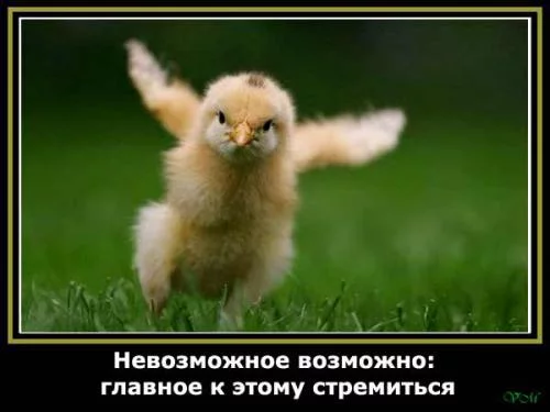 7c3ed3a356.webp