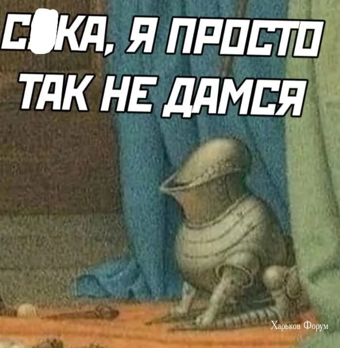 7c4de3065745473b.webp