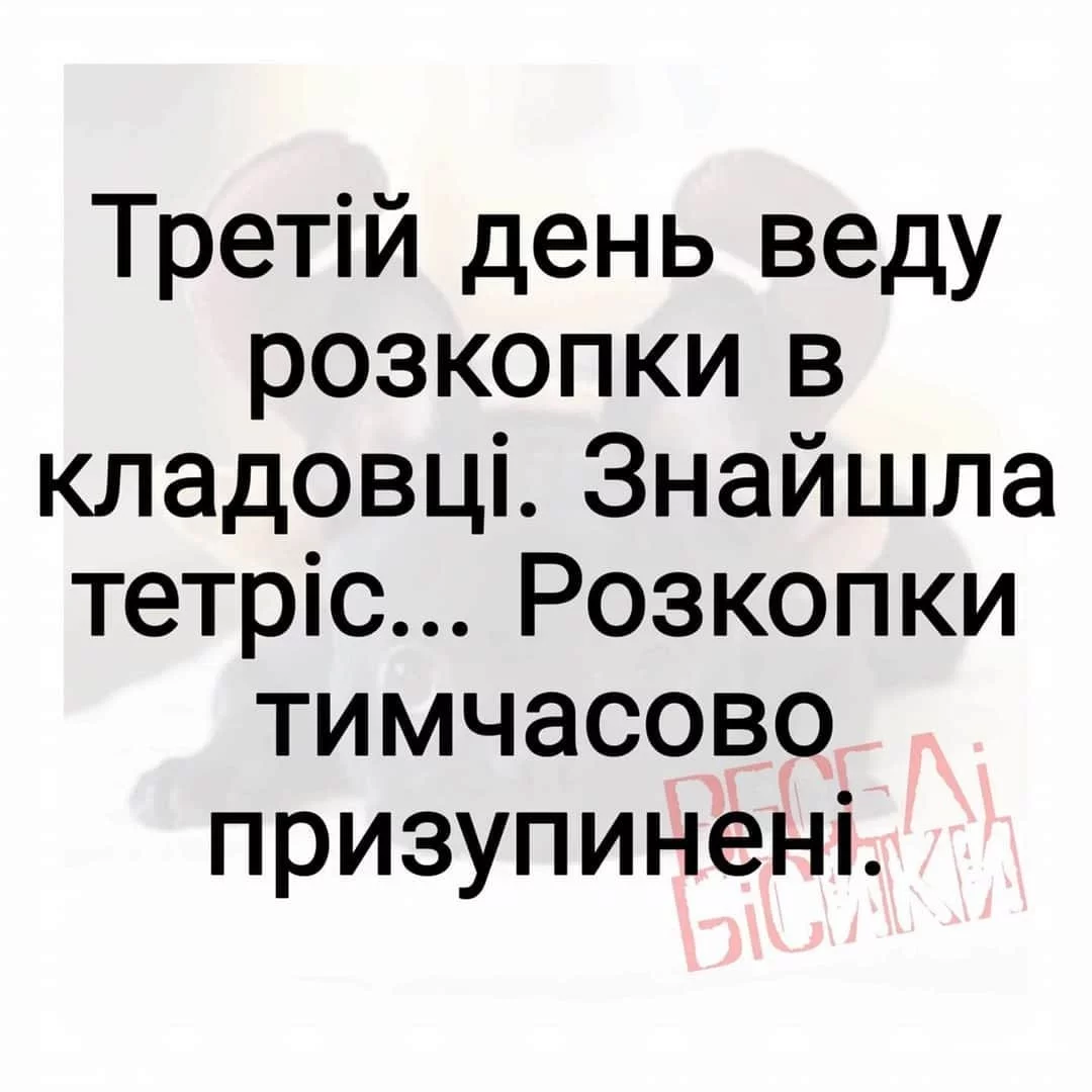 7c64fd632e905ae67.webp