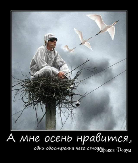 7c71b5f484856f0b997.png