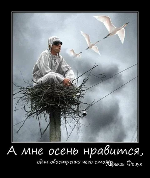 7c71b5f484856f0b997.webp