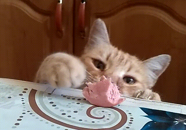 7c7c93bd8349b82f.gif