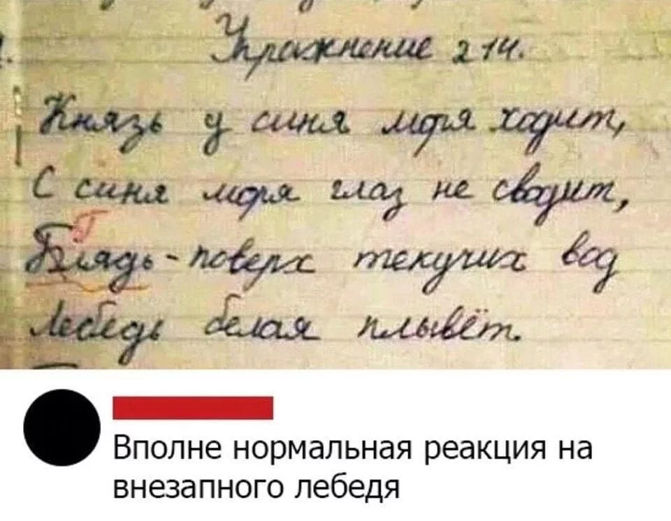 7c8f5ec8791ce3bd0c9.webp