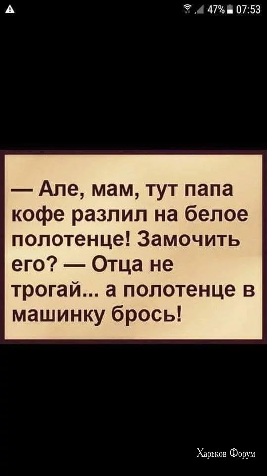 7c98150578b8444bee4b.webp