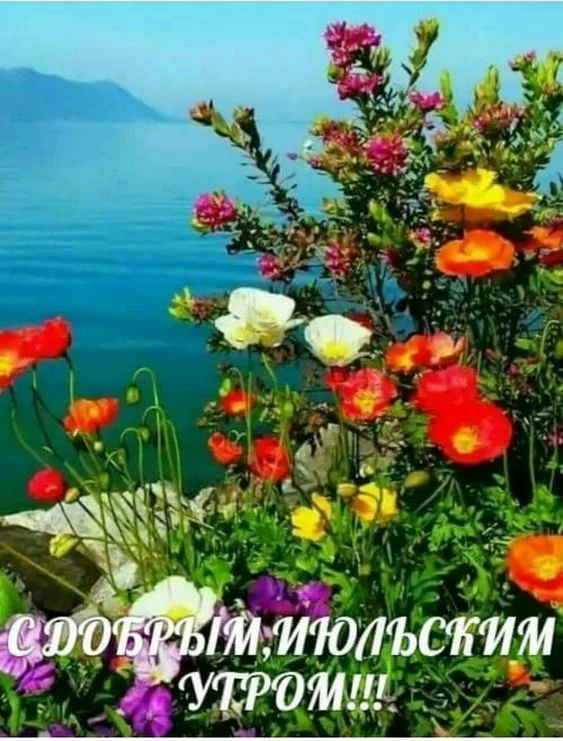 7cahed.webp