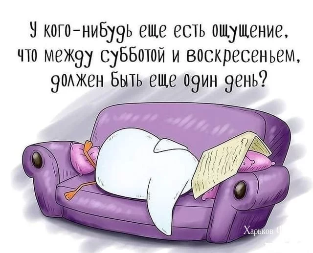 7cb65f59182ebf97328d.webp