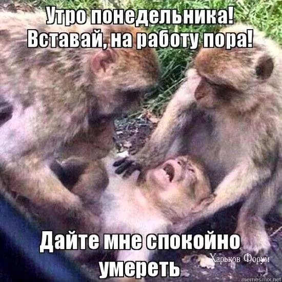 7cc044637db76e6841d3.webp