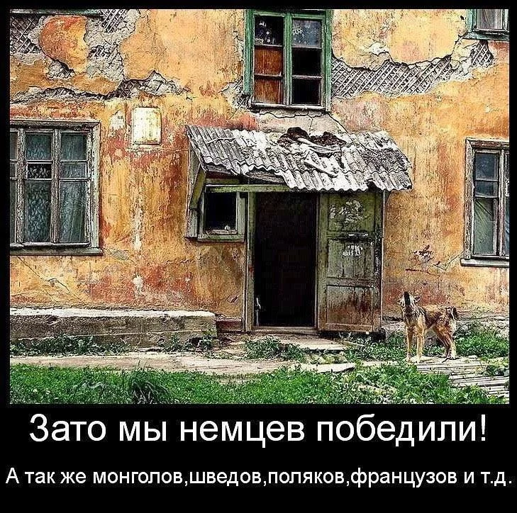 7ccdbj.webp