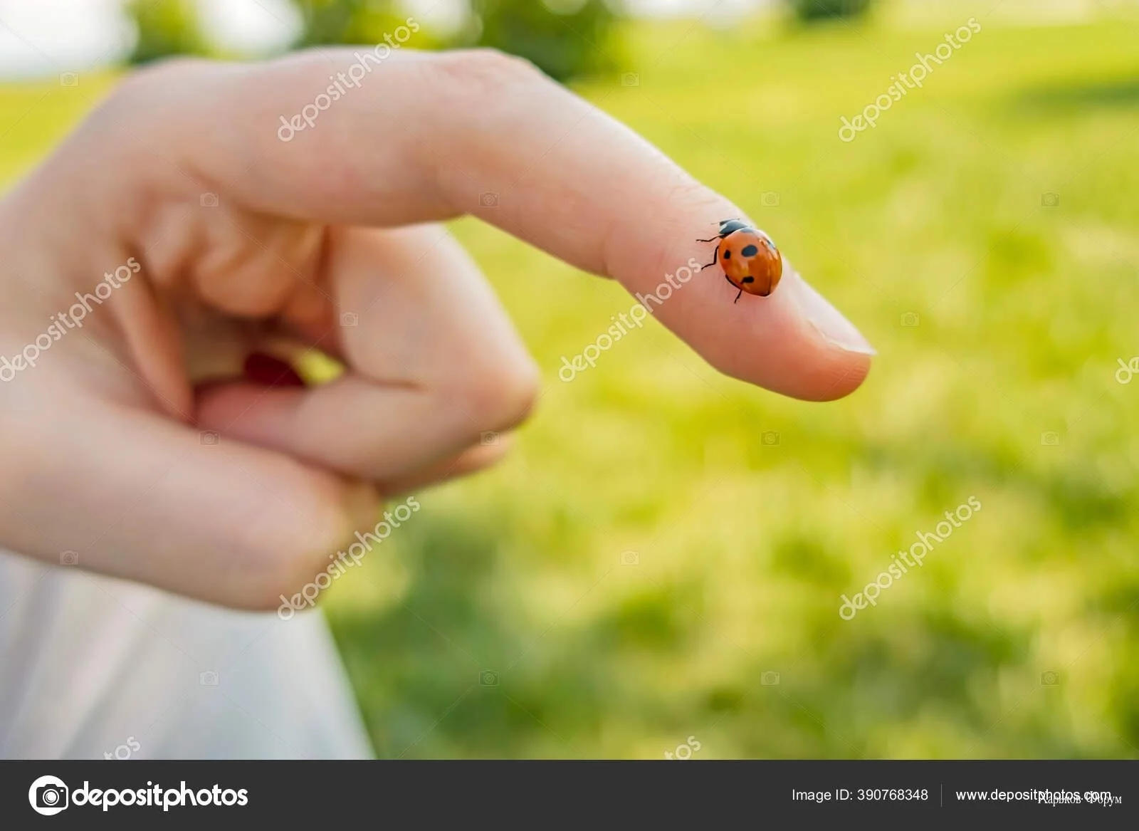 7ccdceeaadd7f097b.webp