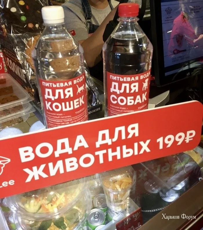 7cd1f38bbdcfcf2ab1.webp