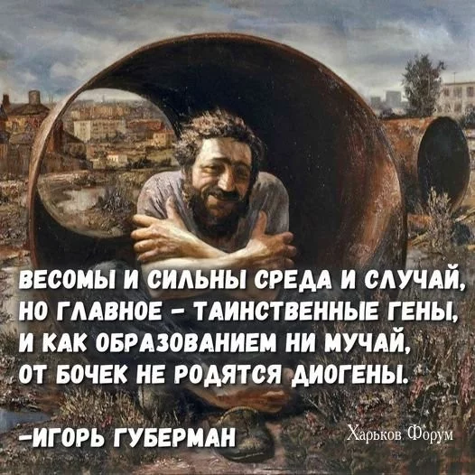 7cdb2378175683faec6e.webp