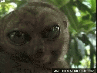 7cdeab9c33fda608be399.gif