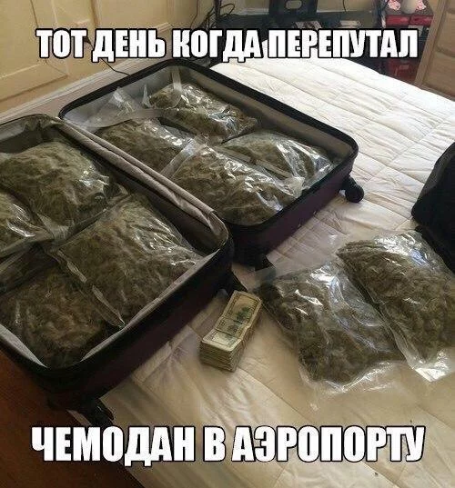 7cegec.webp