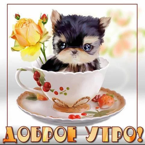 7chfbc.webp