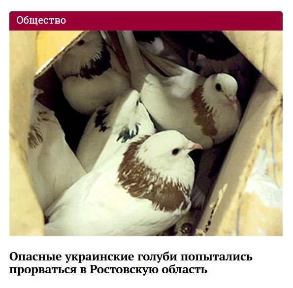 7chjeg.webp