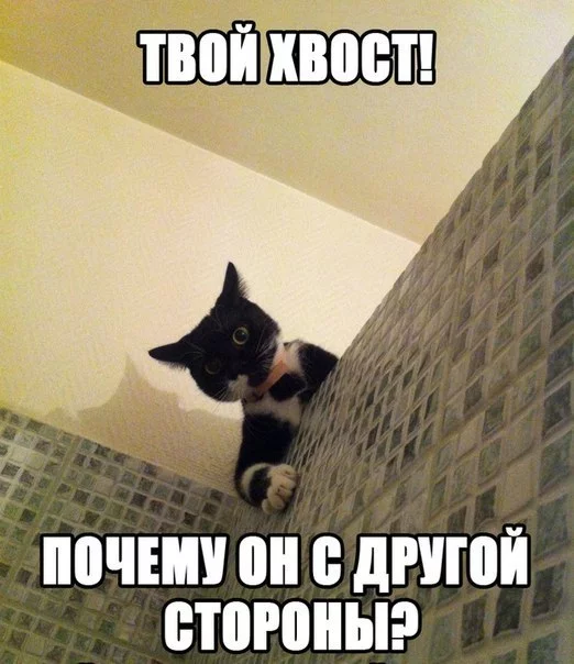 7cO_enj0zaQ.webp