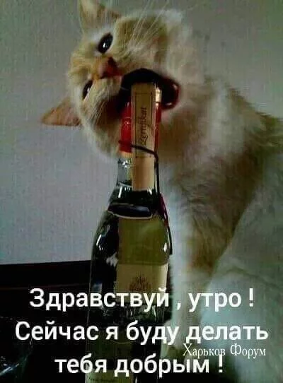 7d013a129670fb47324714.webp