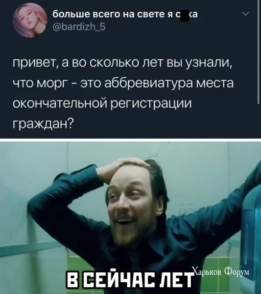 7d0523dde363b5c766098cc.webp