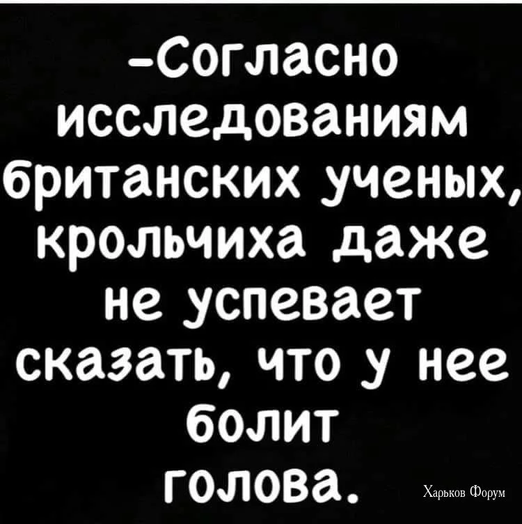 7d0881fa88d3a37b6e5.webp