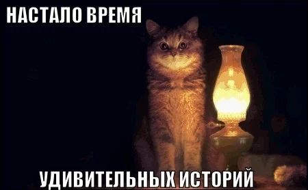 7d1b79.webp