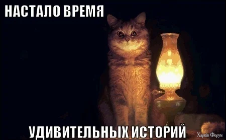 7d1b79.webp