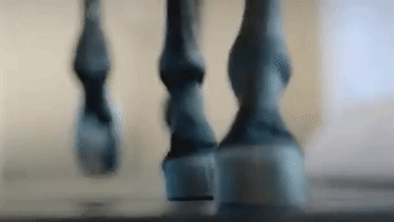 7d1d69c36e5892995.gif